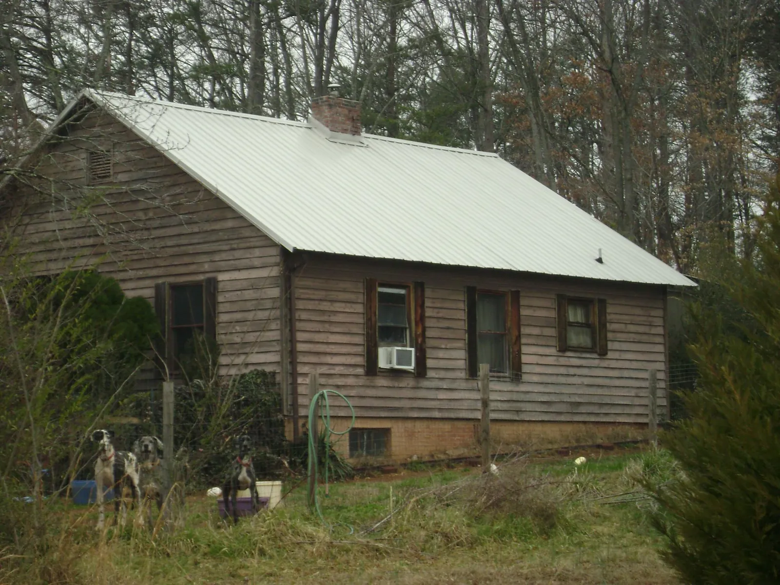 White metal roof on an old wood sided farmhouse, from a Asphalt Shingle Roof Repair job in Meadow